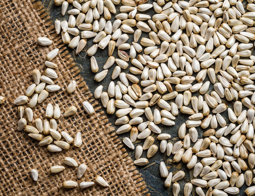 Dried Safflower